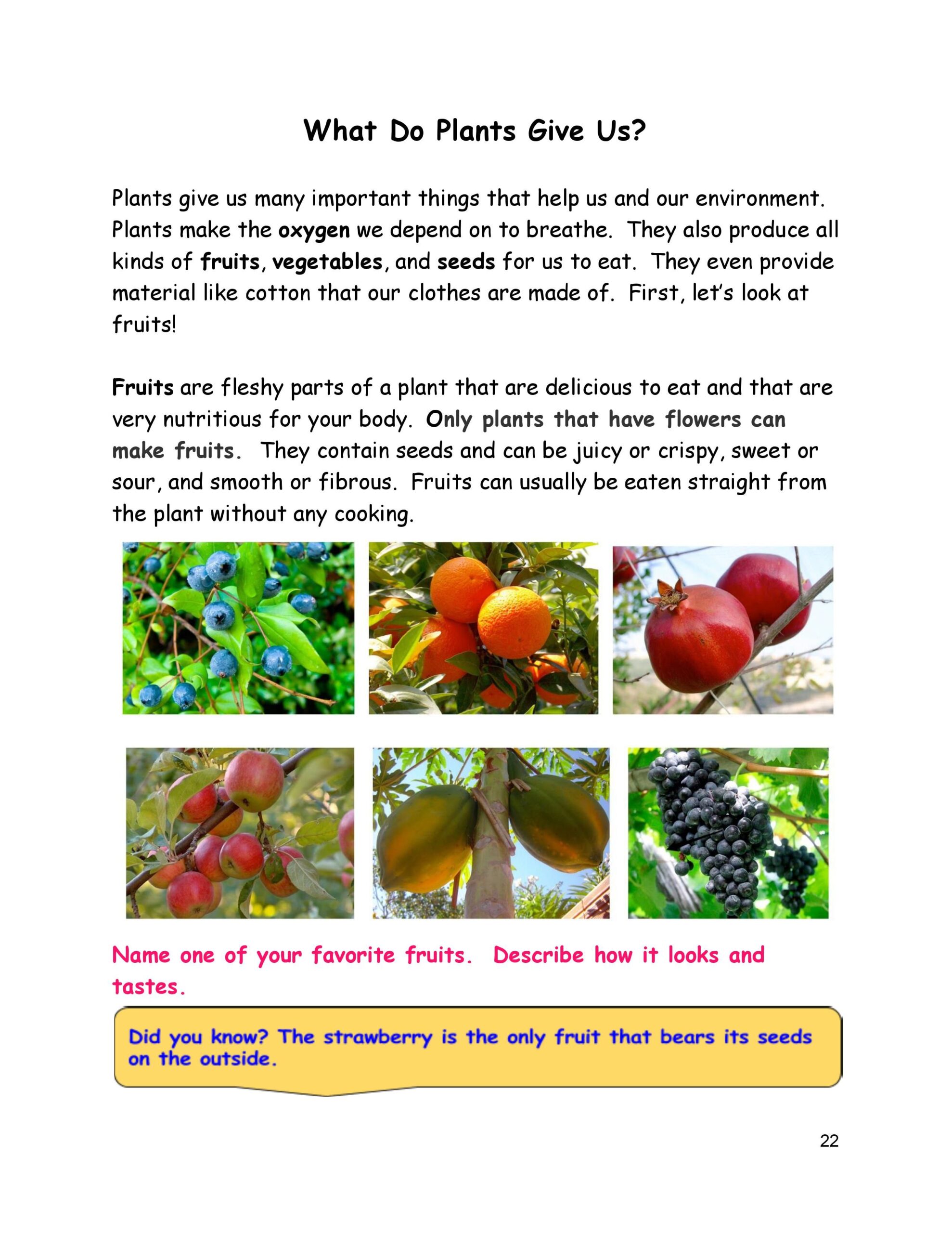 All About Plants