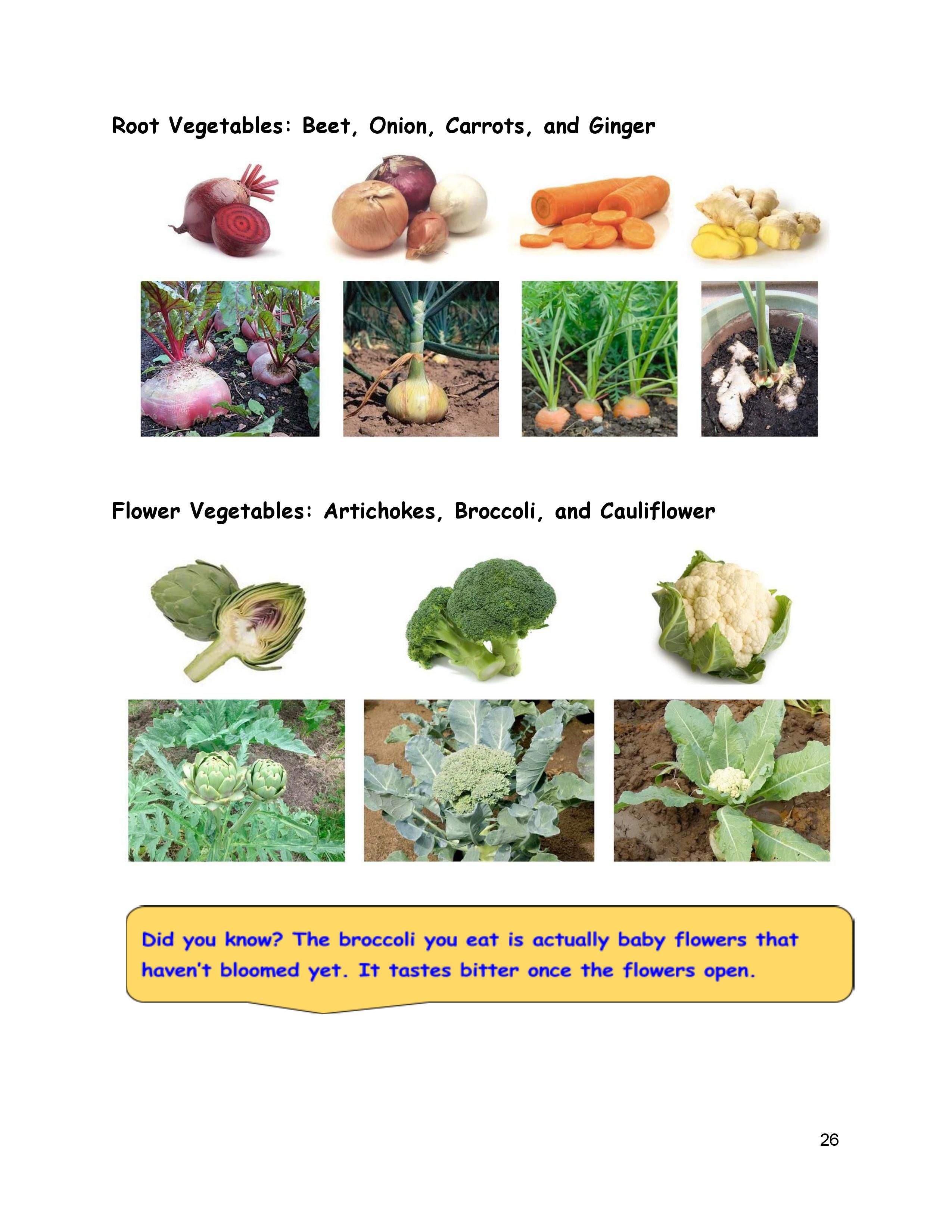 About Vegetables