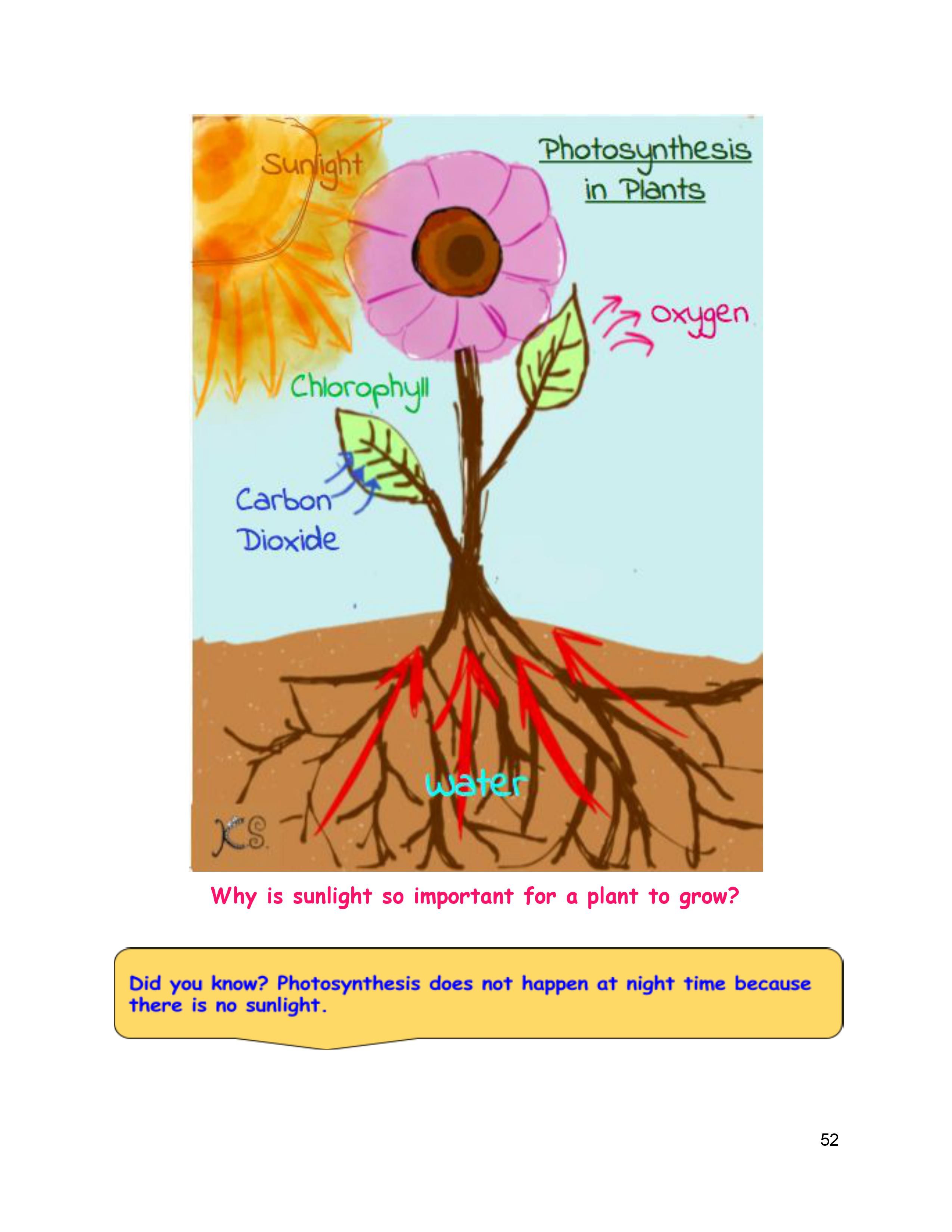 Photosynthesis