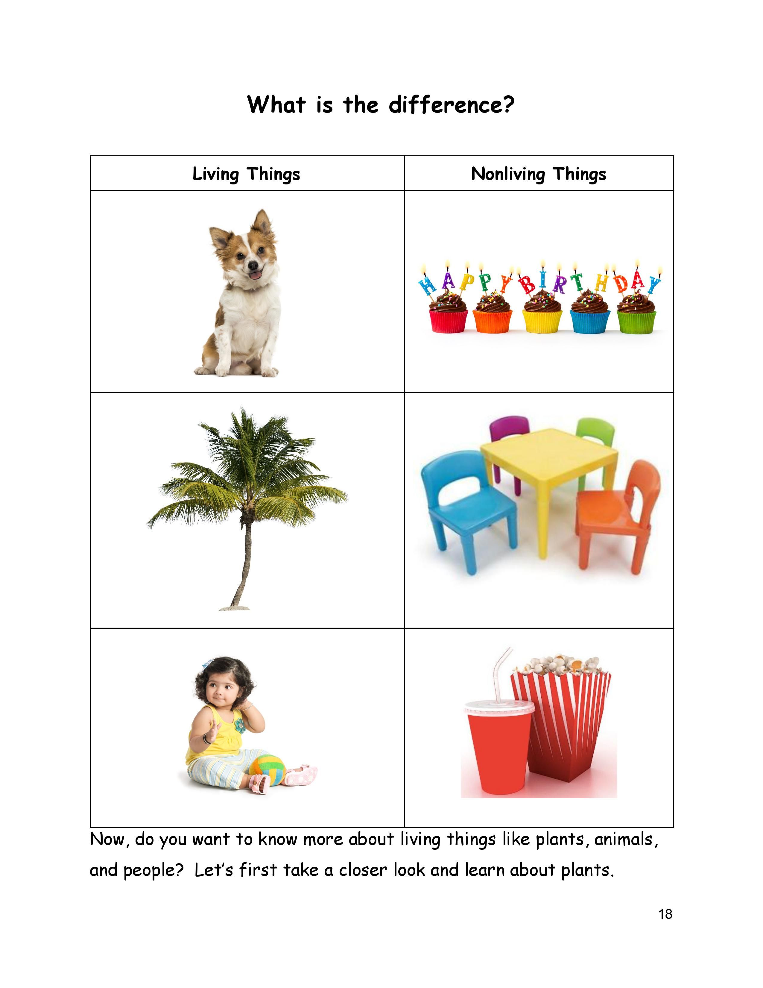 Difference Between Living and Nonliving Things